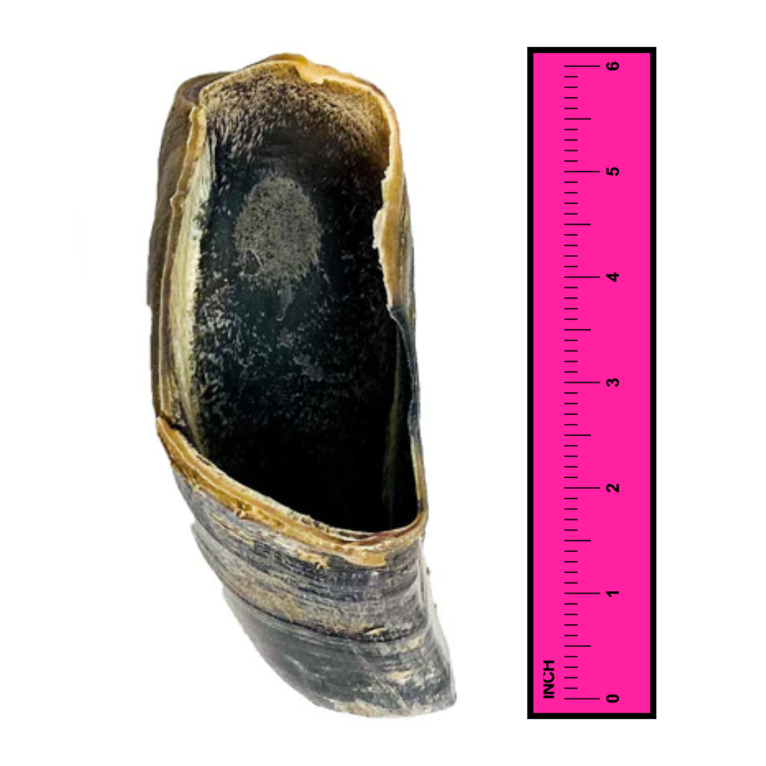 Cow Hooves