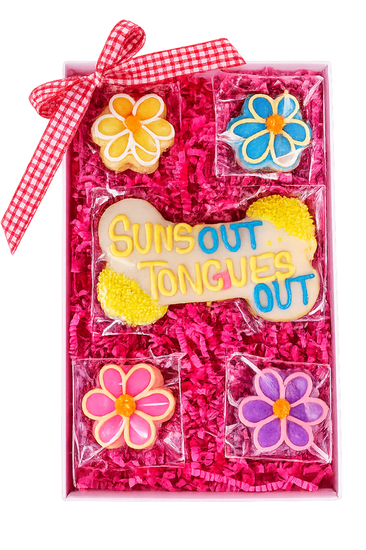 a beautiful gift box with a colorful dog cookies