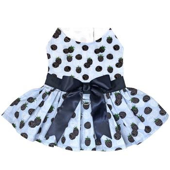 Pet Apparel and Accessories
