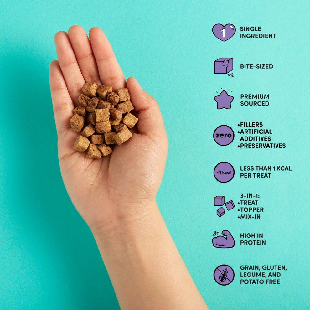 Freeze Dried Chicken Liver