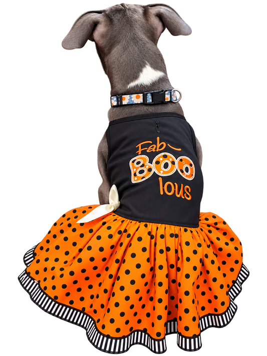 A Halloween dog dress on a grey dog that says Fab-boo lous
