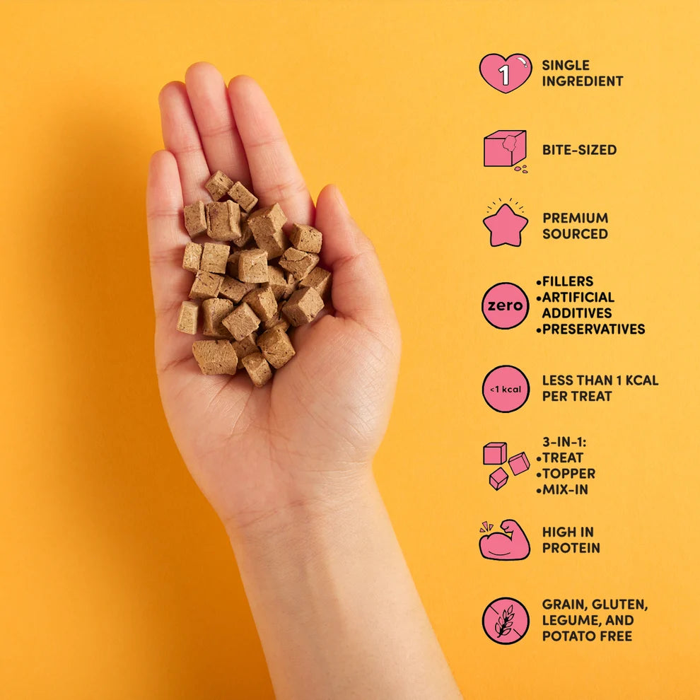 Freeze Dried Raw Beef Liver
