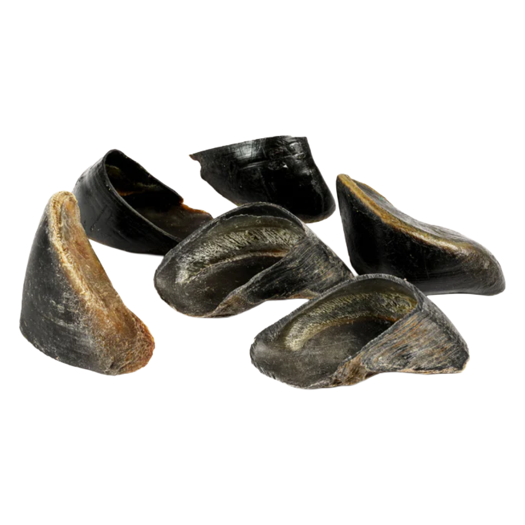 Cow Hooves