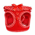 Red Polka Dot Harness