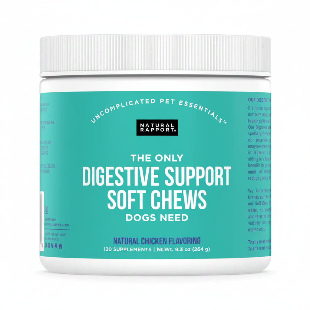 Container of Natural Rapport digestive support soft chews for dogs