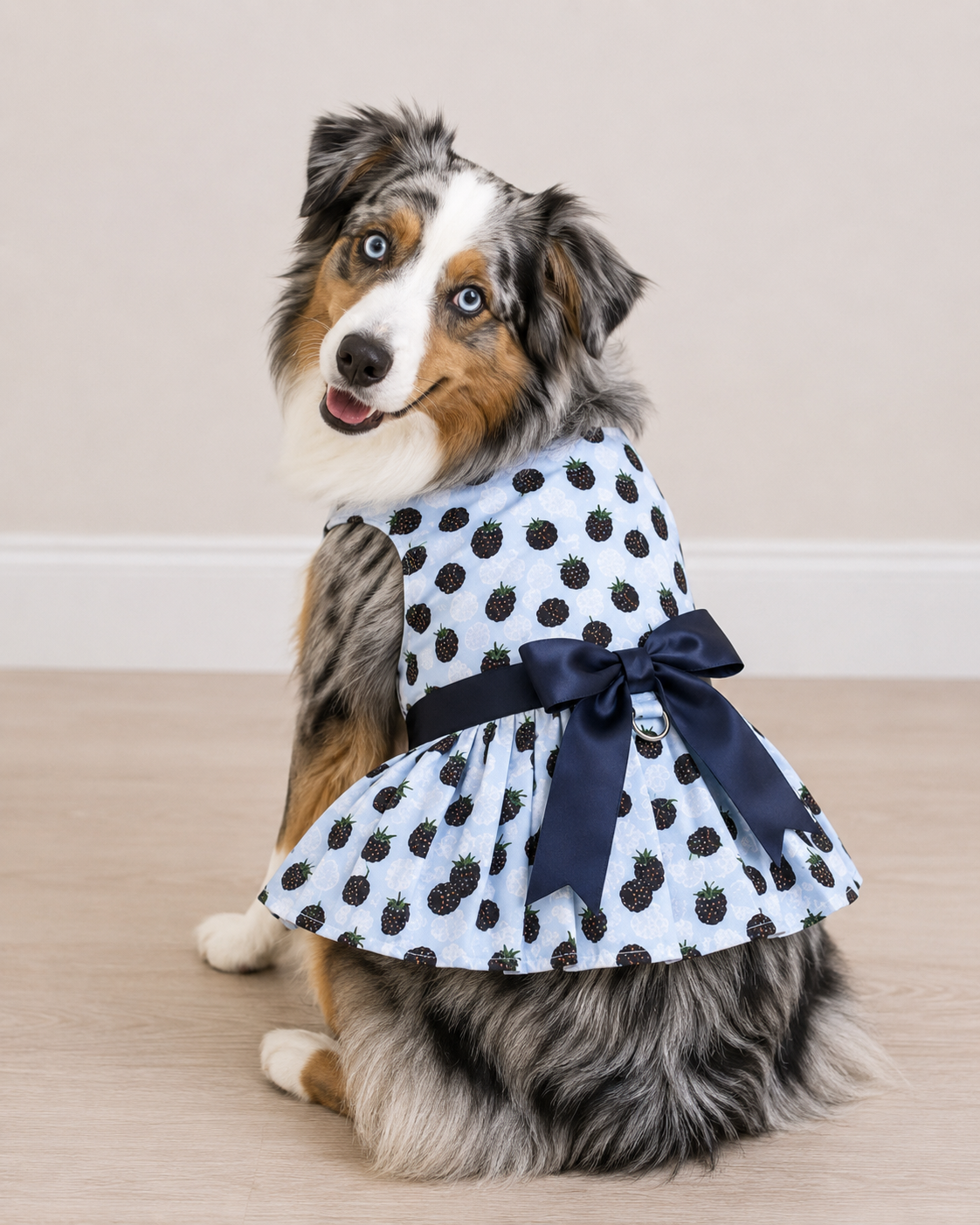 Blackberries Dog Dress