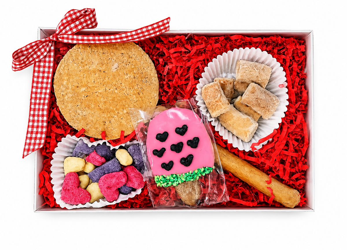 Barkuterie Box