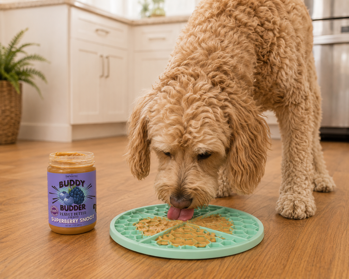 A golden doodle licking peanut butter off the slow feeder lick mat.