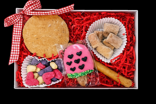 a gift box with chicken treats and summer pupsicle cookie