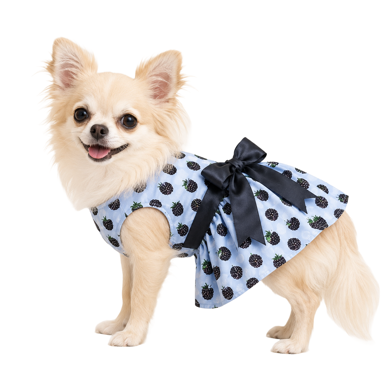 Blackberries Dog Dress
