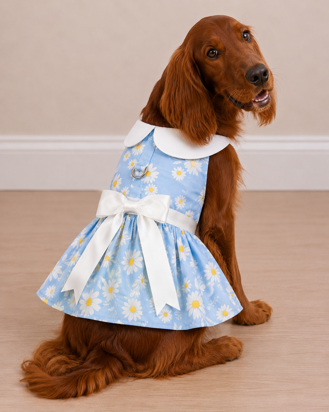 Blue Daisy Dress With Leash