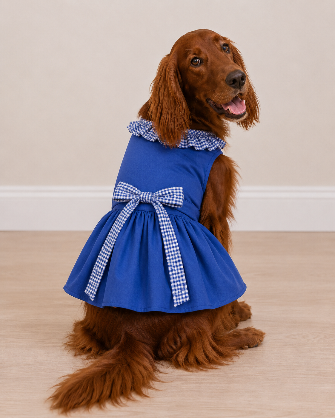 Gingham Blue Dress
