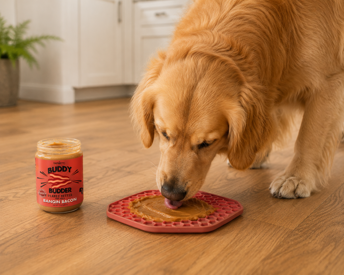 A golden retriever licking buddy budder on of a slow feeder lick mat.