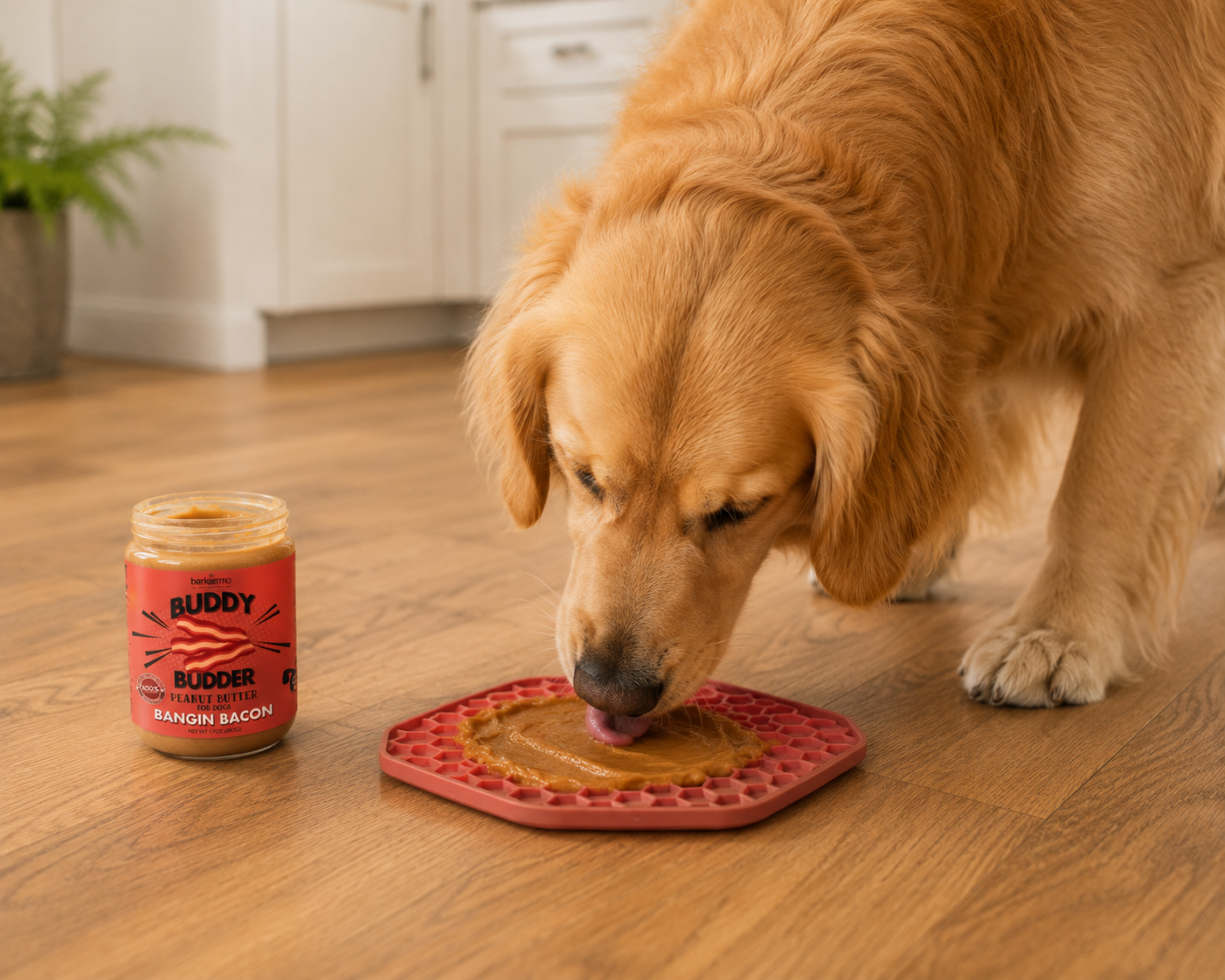 A golden retriever licking buddy budder on of a slow feeder lick mat.