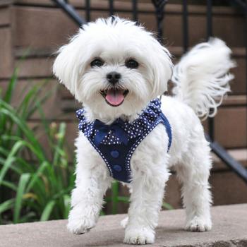 Navy Dots Ruffled Harness
