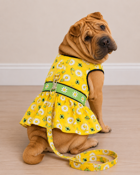 Dog Harness Dresses Ladybugs and Daisies