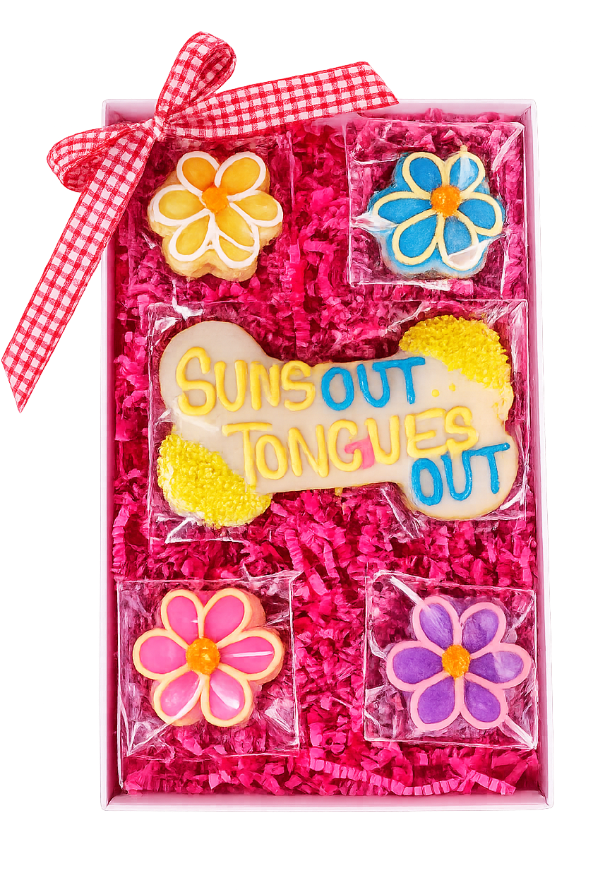 a beautiful gift box with a colorful dog cookies