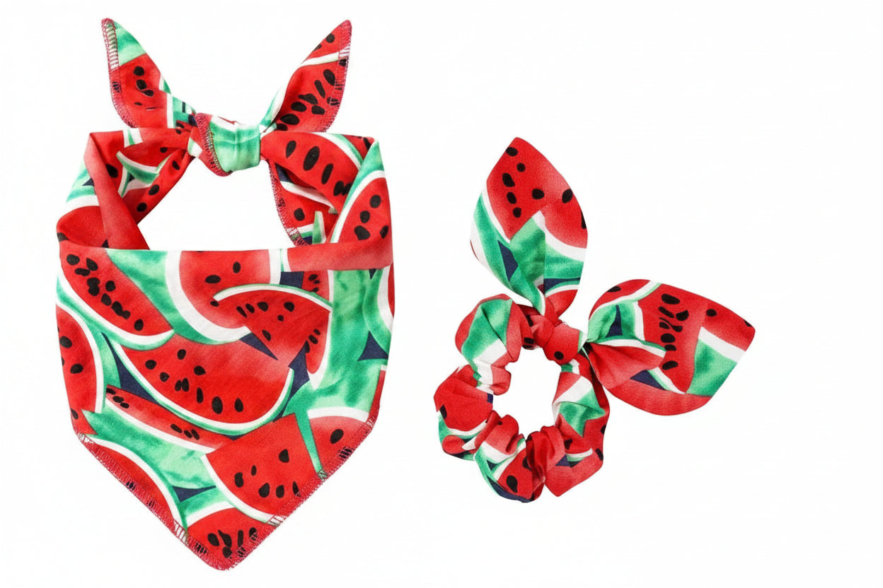 a dog bandana and matching scrunchie decorated with watermelons