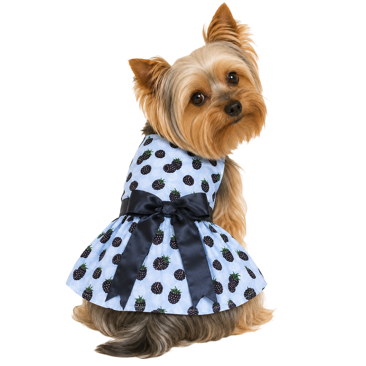 Blackberries Dog Dress